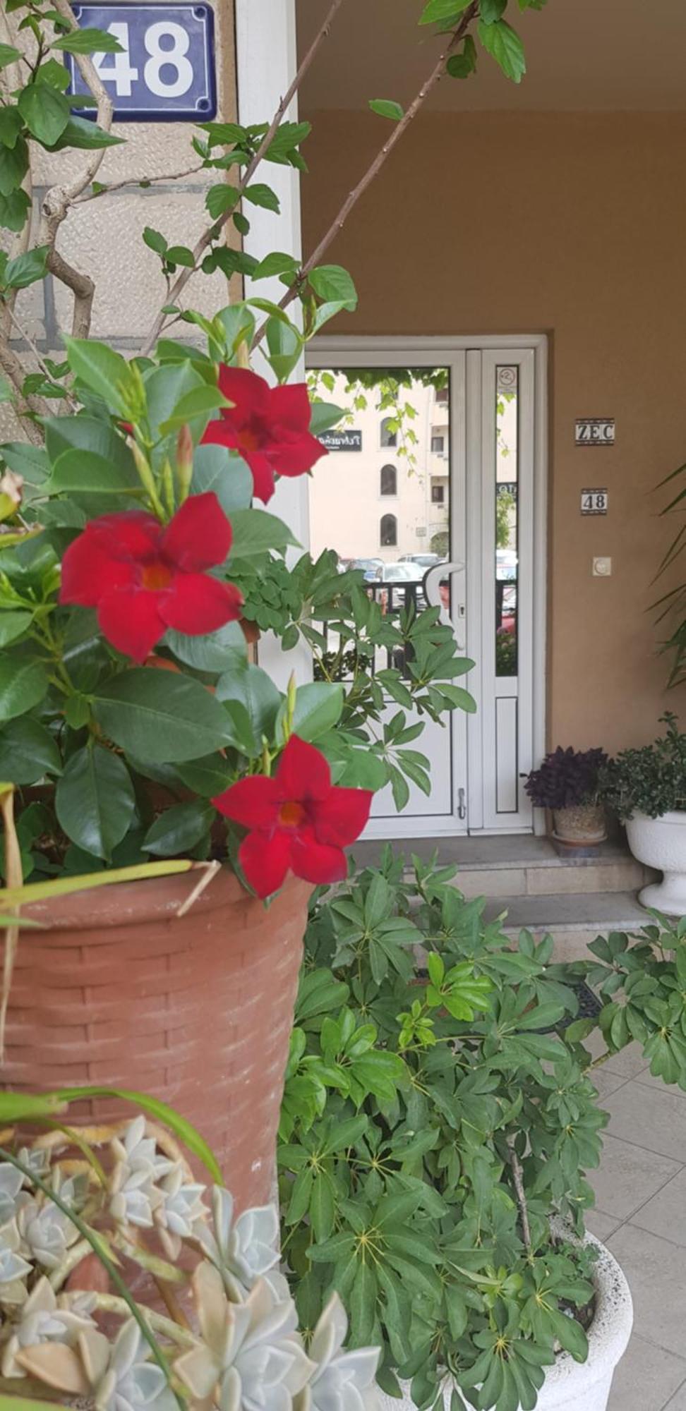 Villa Pedja Zec Exclusive 3+ Budva Bagian luar foto